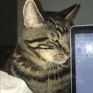 Meet your Posher, Kennedy